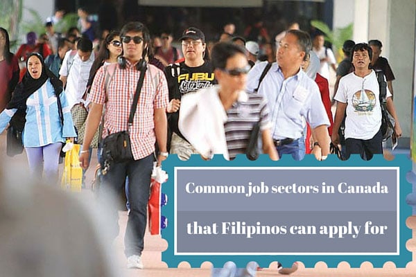 Common job sectors in Canada that Filipinos can apply for