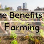 The Benefits of Farming