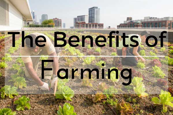 The Benefits of Farming