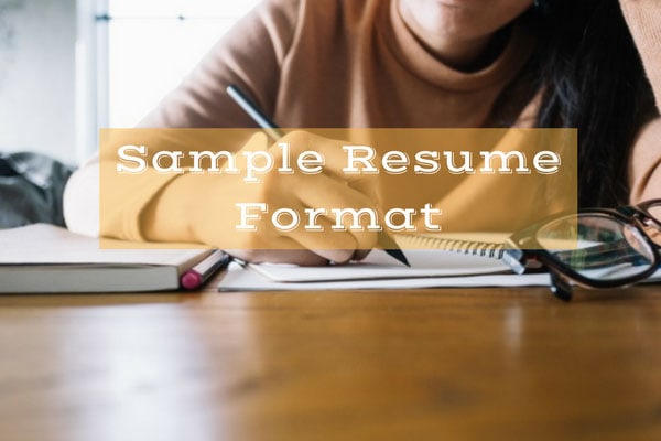 Sample Resume Format