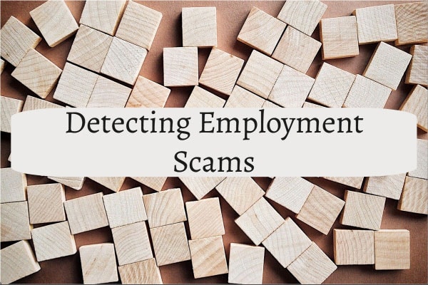 Detecting Employment Scams